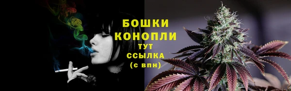 винт Белокуриха