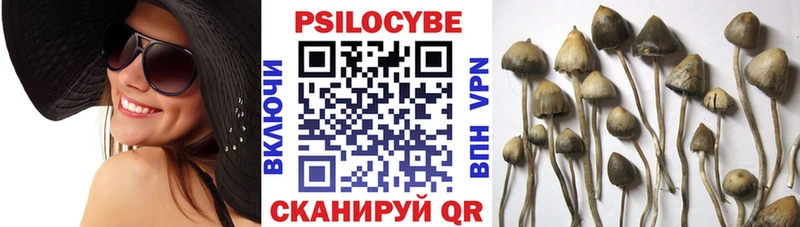 Псилоцибиновые грибы Psilocybine cubensis  где можно купить наркотик  площадка состав  Волосово 
